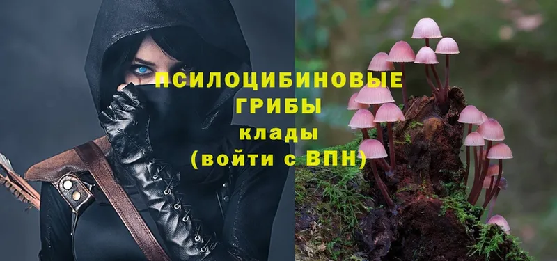 Галлюциногенные грибы Magic Shrooms  Красный Кут 